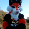 avatar of Alto Fox
