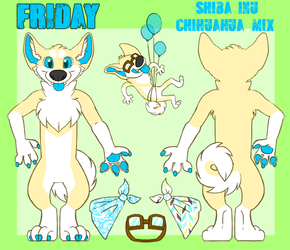 Friday Reference Sheet