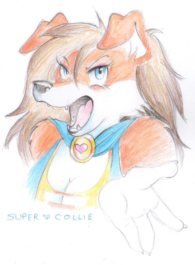 Super Collie by Sanssouci