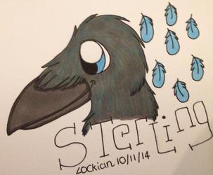Headshot con badge for Sterling