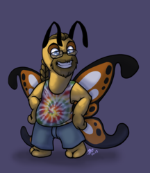 Hippie Butterfly
