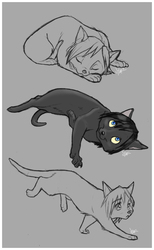 Xion Kitty Sketches