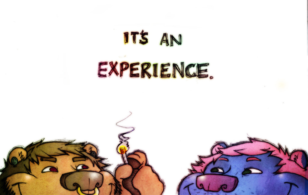 Within an Experience
