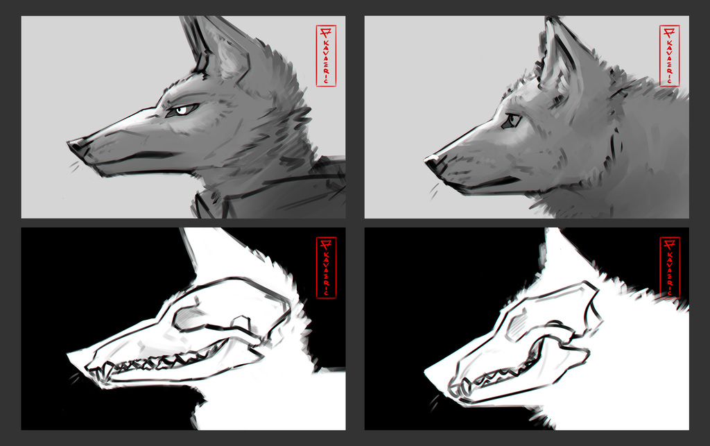 Wolf head study