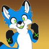 avatar of XtheFox