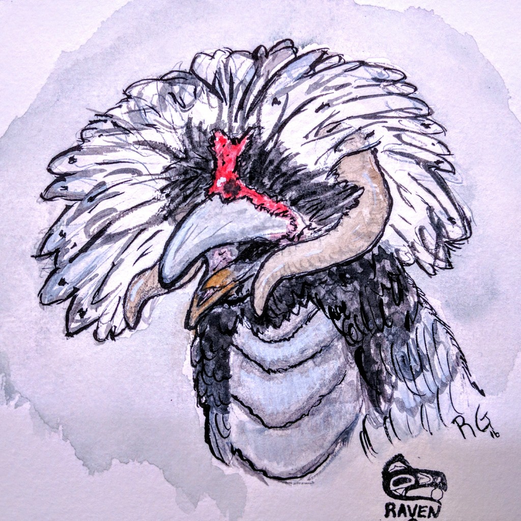 Cockatrice Raven