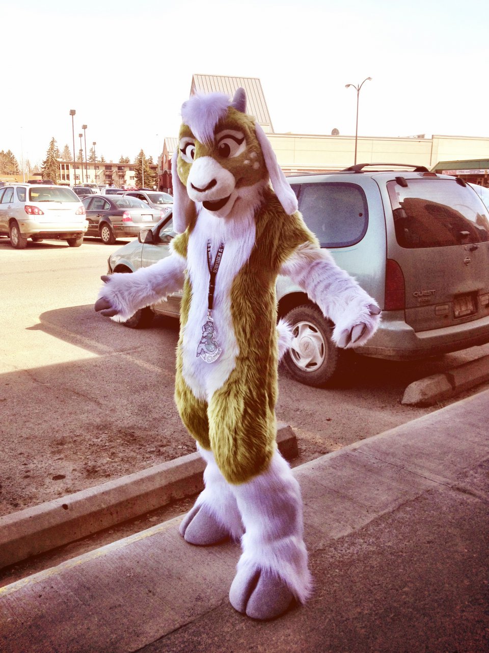 Featured image: Clover outside Furry Bowling