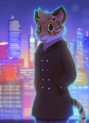 City Cat