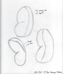 L2 - Bean Sketch