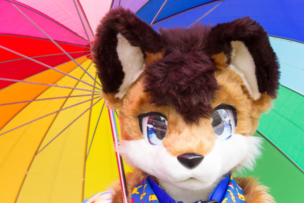 DecemFUR: Rainbow Fox