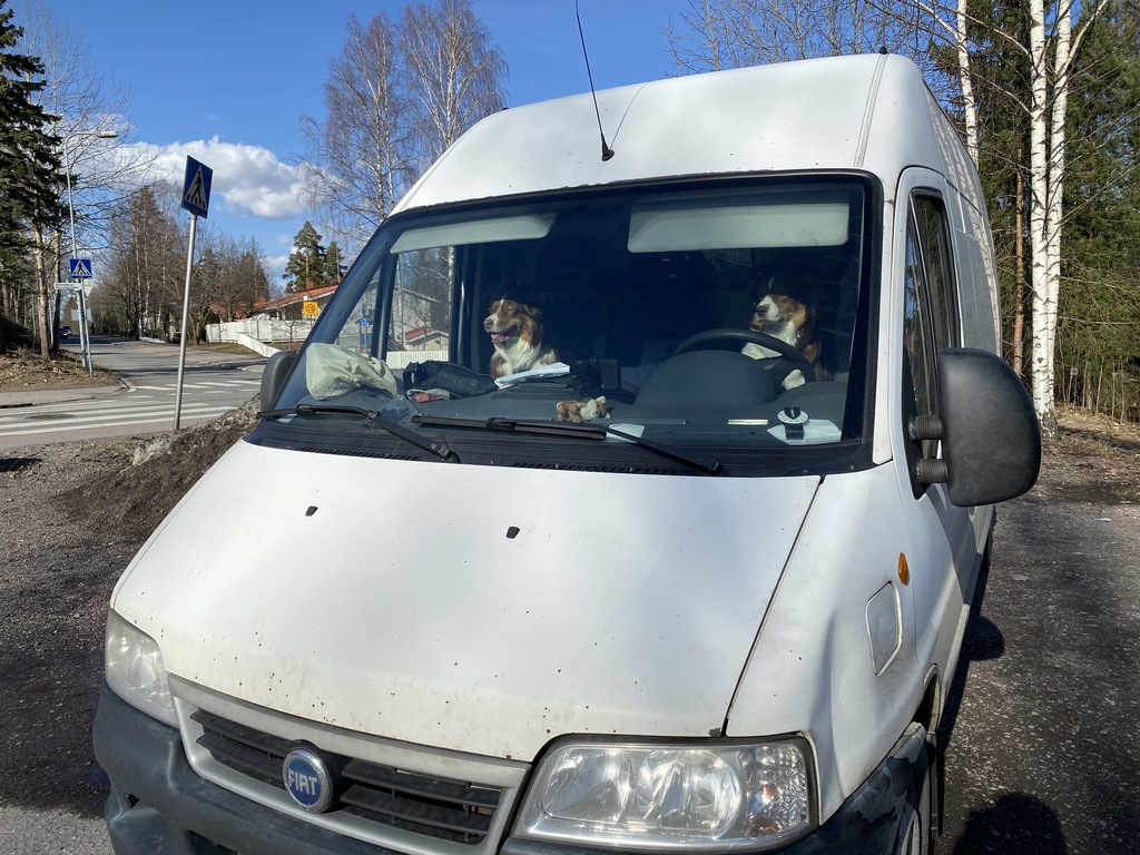 Dogs on a Journey
