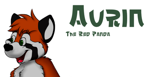 Aurin the red Panda