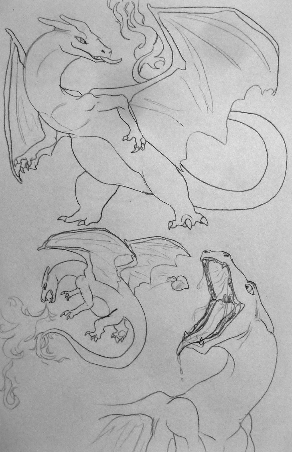 Page One of Charizardy Goodness