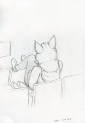 Wolf sitting in a Classroom