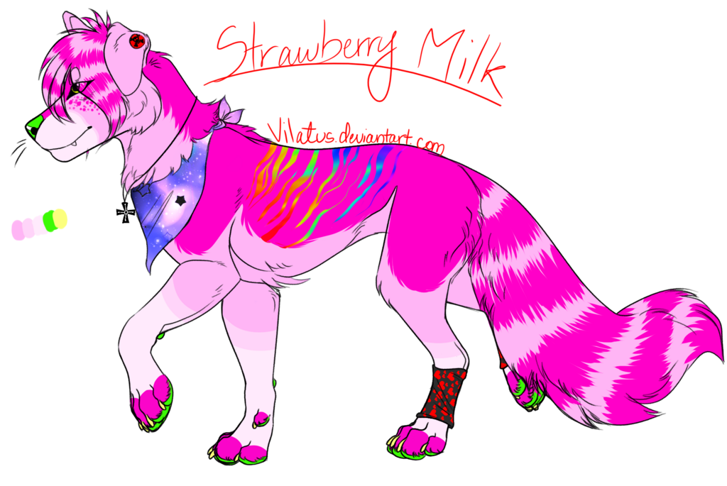 Strawberry Milk for Whymaraner