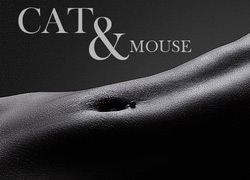 Cat & Mouse: Alt (Vore POV audio)