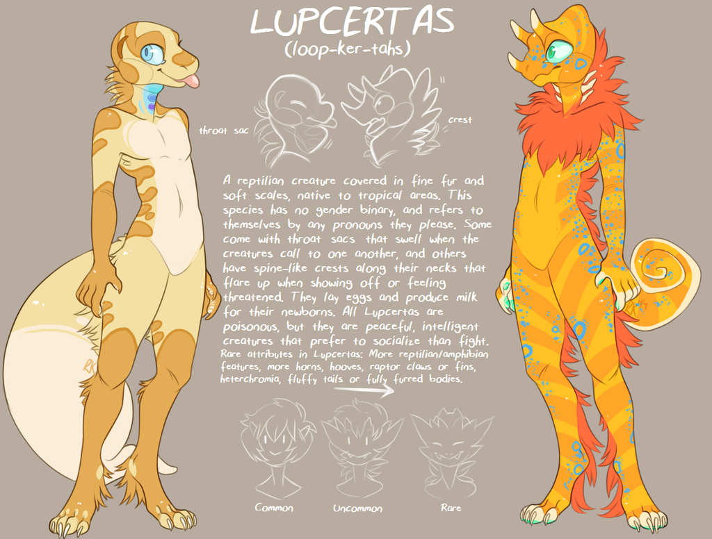Featured image: LUPCERTA REFERENCE