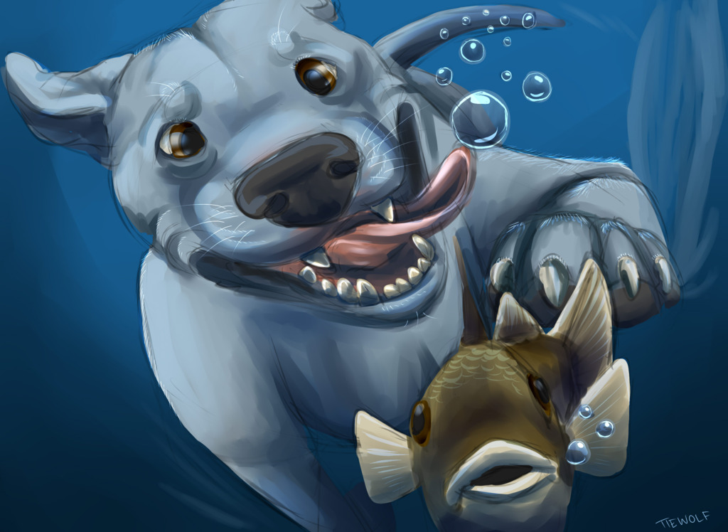 Pittie Swimming with the Fishes