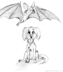 (1993) Bat & Puppy Doodle