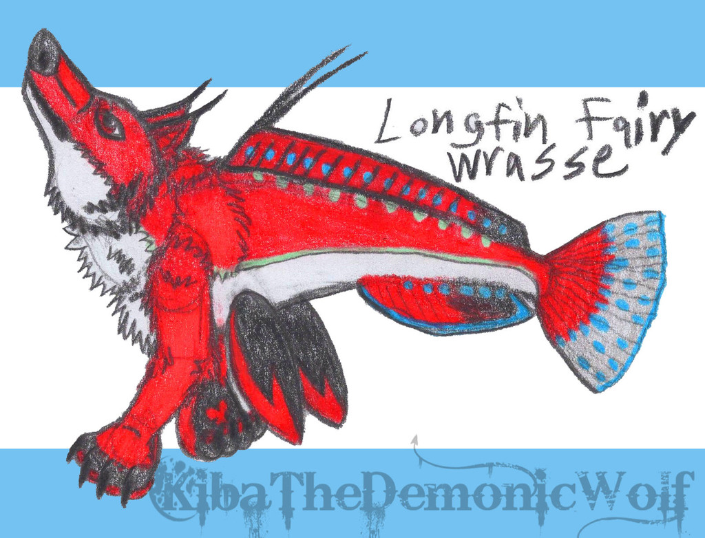Whimsical Wolves - Fish Wolf - Longfin Fairy Wrasse