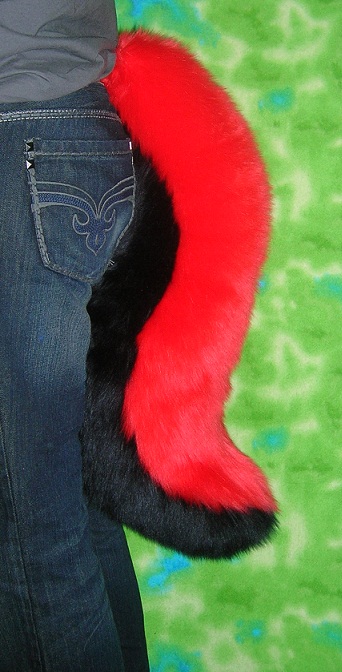 Canine tail