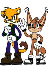 Sonic-style Duo