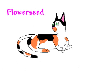 Flowerseed