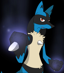 Lucario wants to fight