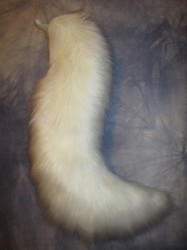 Curvey White Wolf Tail
