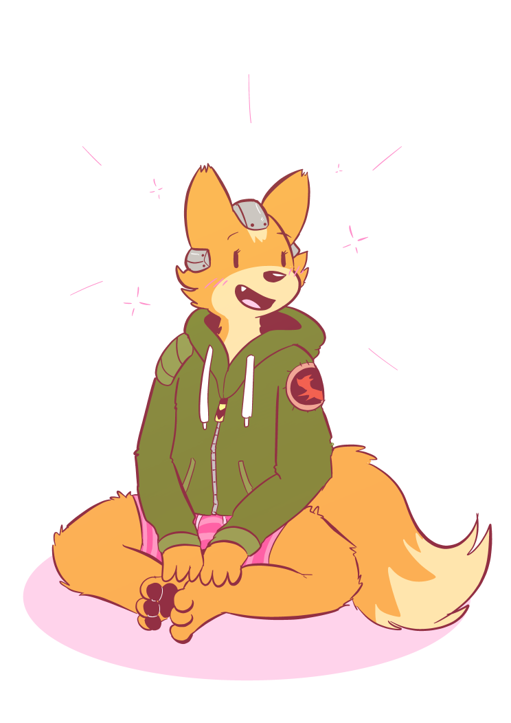 star fox + hoodie + undies