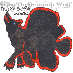 Whimsical Wolves - Fish Wolf - Dusky Batfish