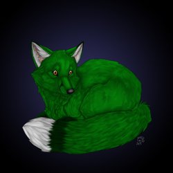 Fox! Drawn by RainbowFoxy