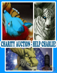 Charity Auction - Charlie's Hurt Knee (HELP A DOG!)