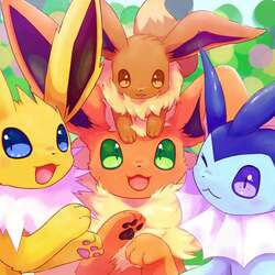 the start of eevee evulion.