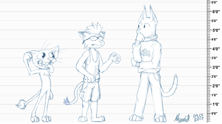 official unofficial height chart