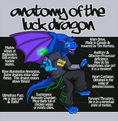 anatomy of the luck dragon
