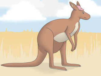 [T] Kangaroo in the pink hat