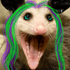 avatar of squeakychewtoy