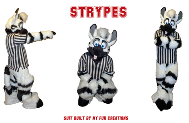 Strypes reference