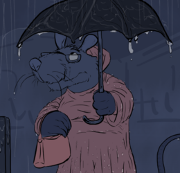 Nana Rakali's matching raincoat and gumboots