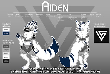 Reference Sheet [C] - Aiden ✨
