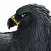 avatar of blackfeathered