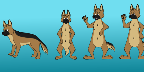 GSD feral to anthro TF