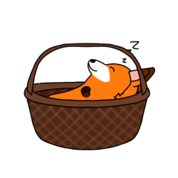 Sleeping beanybean in a basket :3
