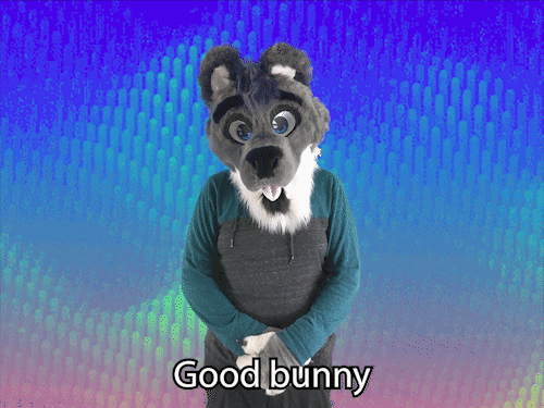 "Good bunny" ASL gif