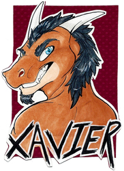 XAVIER -badge trade-
