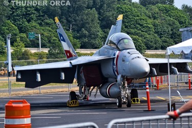 F18 Super Hornet  (Part 2)