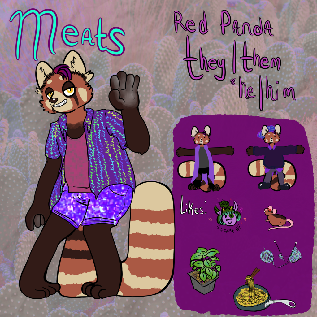 REF: Meats the Red Panda