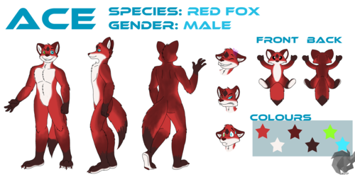 Ace Reference Sheet