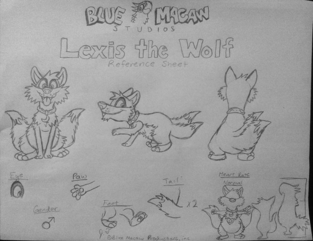Lexis the Wolf Reference Sheet